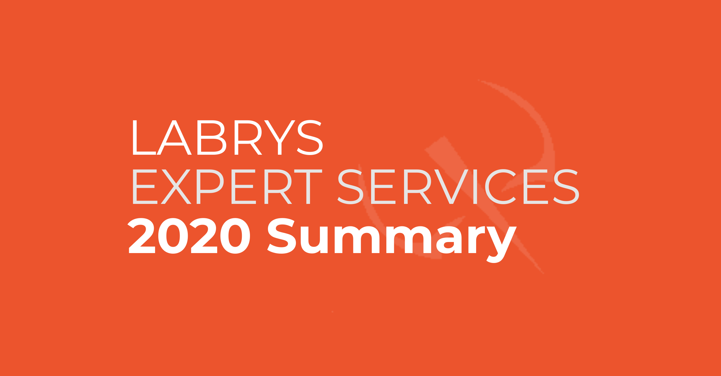 Labrys Expert Services 2020 Summary Infographic