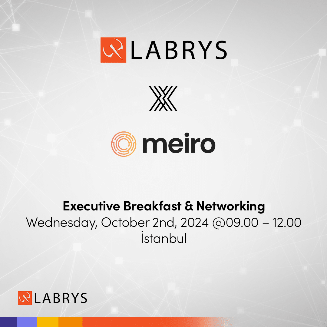 Labrys Tech Labrys Consulting – Bridging The Gaps b/w Brands and Tech