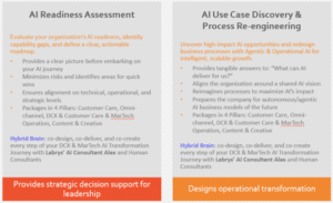Labrys AI Acceleration Frameworks